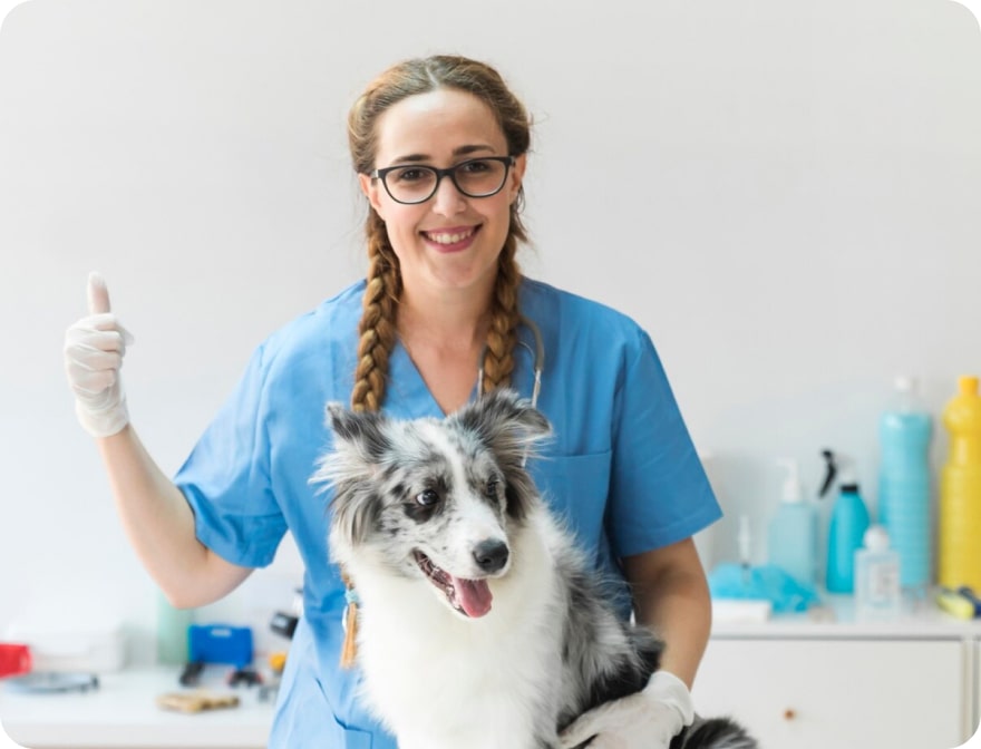 Veterinarian smiling while caring for a dog, showcasing effective employee retention strategies in veterinary practices