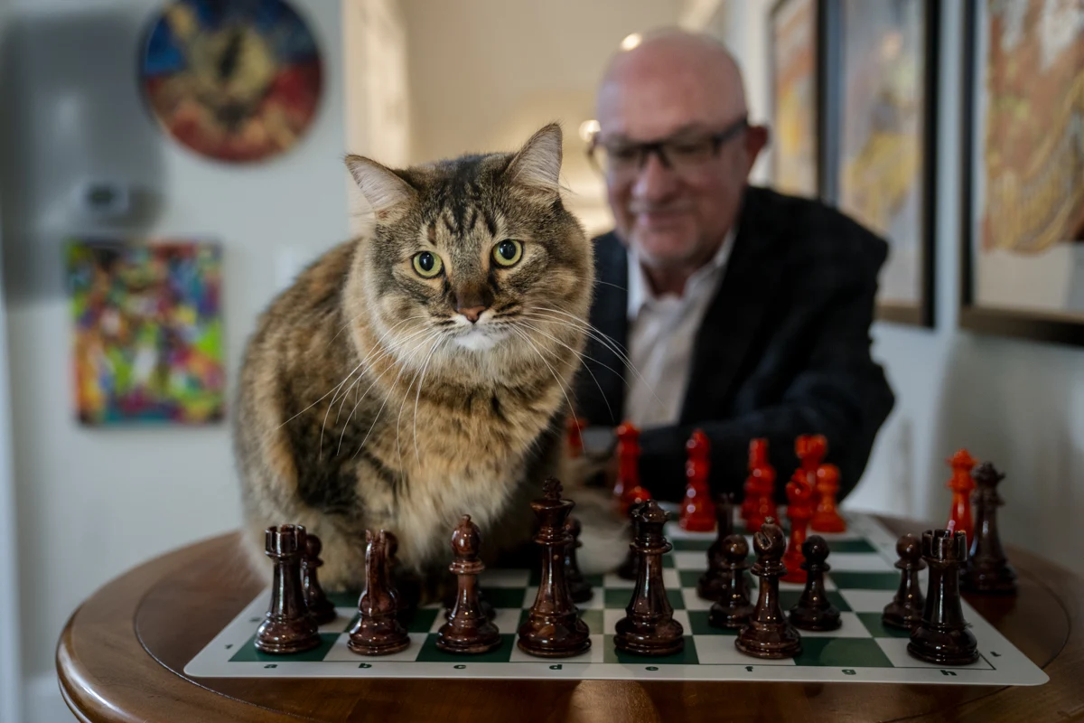 Dr. John Corsale, playing chess with his cat in a cozy setting, symbolizing strategic thinking in acquiring vet practices in 2025